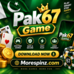 PAK67 Game Download Latest APK Real Earning Platform In 2026